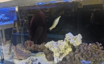 Fish World Spokane