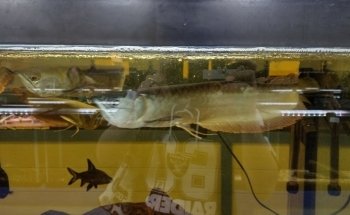 Fish World Spokane