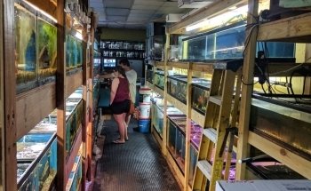 Westside Aquarium & Pets