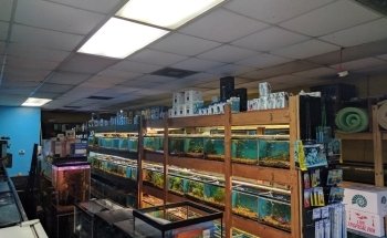 Westside Aquarium & Pets