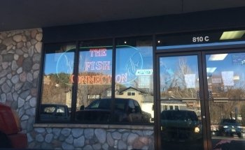 Conexión de Peces