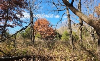 Schramm Park State Recreation Area