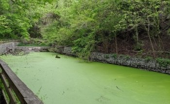 Schramm Park State Recreation Area