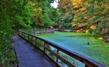 Área Recreativa Estatal Schramm Park