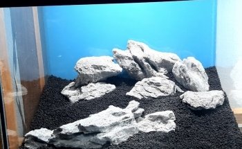 Acuario Tus Mascotas