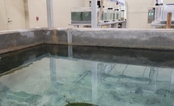 Go Fish Education Center