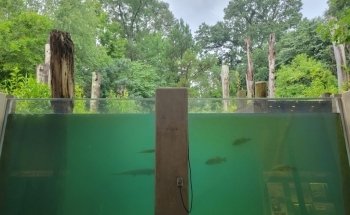 Go Fish Education Center