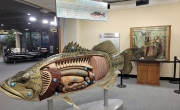 Go Fish Education Center
