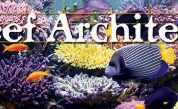 Reef Architects