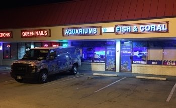Aquatic Jewels