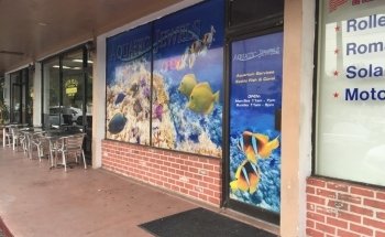 Aquatic Jewels