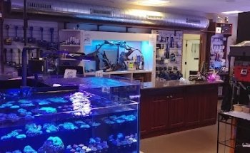 Acuario de América