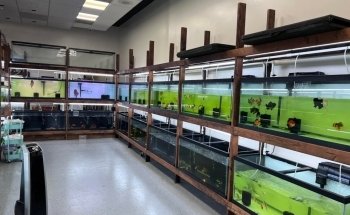 Houston Aqua