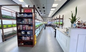 Houston Aqua