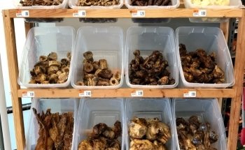 Pet Supplies Plus Sugar Land