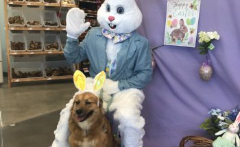 Pet Supplies Plus Sugar Land