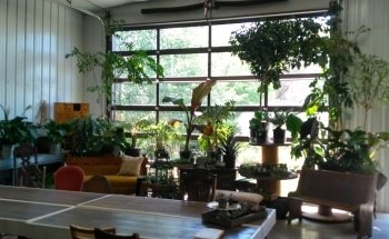 Handy Andy's Nursery