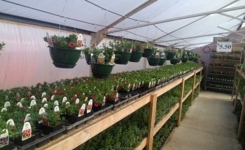 Handy Andy's Nursery