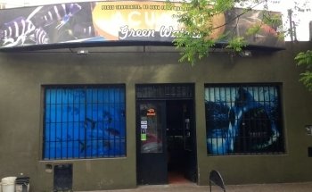Acuario Green Waters