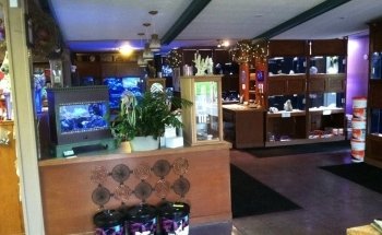 Caribbean Forest LLC