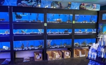 Aquatic Cove