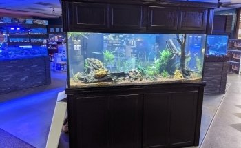 Aquatic Cove