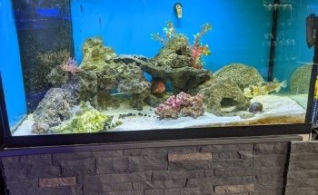 Aquatic Cove