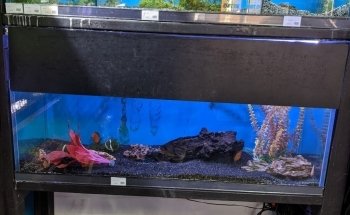 Aquatic Cove