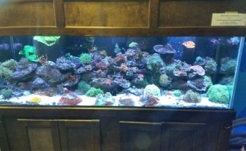 Aquatic Cove
