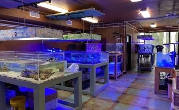 Violet Aquarium LLC