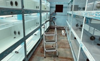 Violet Aquarium LLC