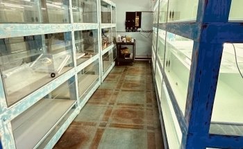 Violet Aquarium LLC