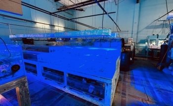 Violet Aquarium LLC