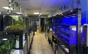 Finatic Aquatics