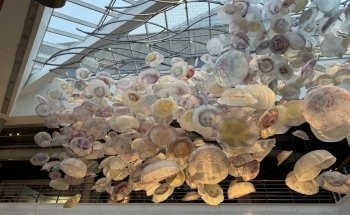 Marine Mammal Pavilion