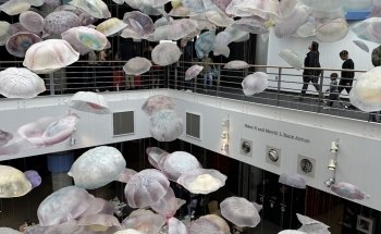 Marine Mammal Pavilion