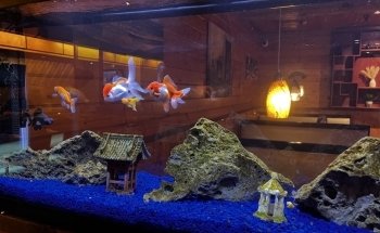 The Tropical Fish Shoppe Inc.