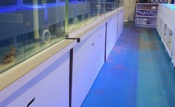 VIP Reef Aquarium