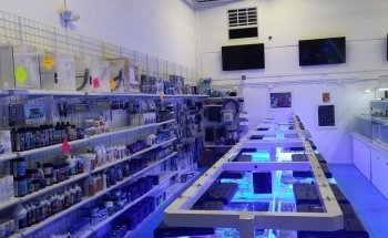 VIP Reef Aquarium