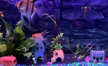 Aquarium & Reef Center