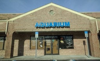 Acuario y Centro de Arrecifes