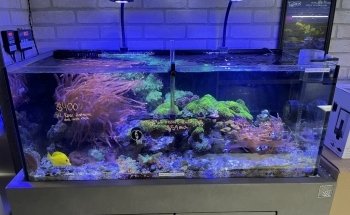 Beyond the Reef