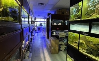 Beyond the Reef