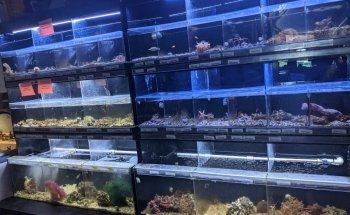 Beyond the Reef