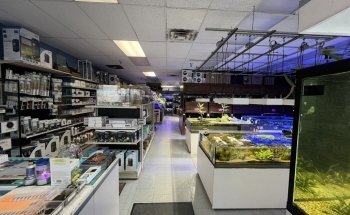 Beyond the Reef
