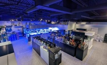 Matt's Corals & Service
