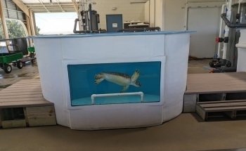 The Florida Aquarium Sea Turtle Rehabilitation Center