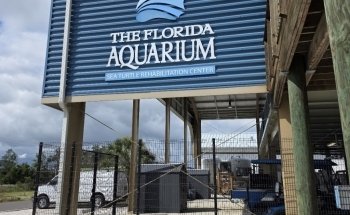 Centro de Rehabilitación de Tortugas Marinas del Acuario de Florida