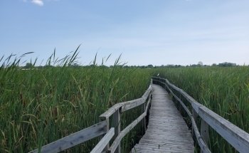 Woodland Dunes Nature Center & Preserve