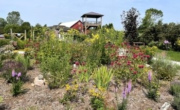 Woodland Dunes Nature Center & Preserve